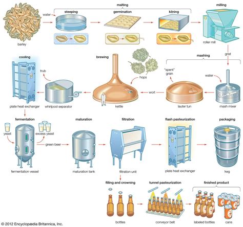 beer malting process.